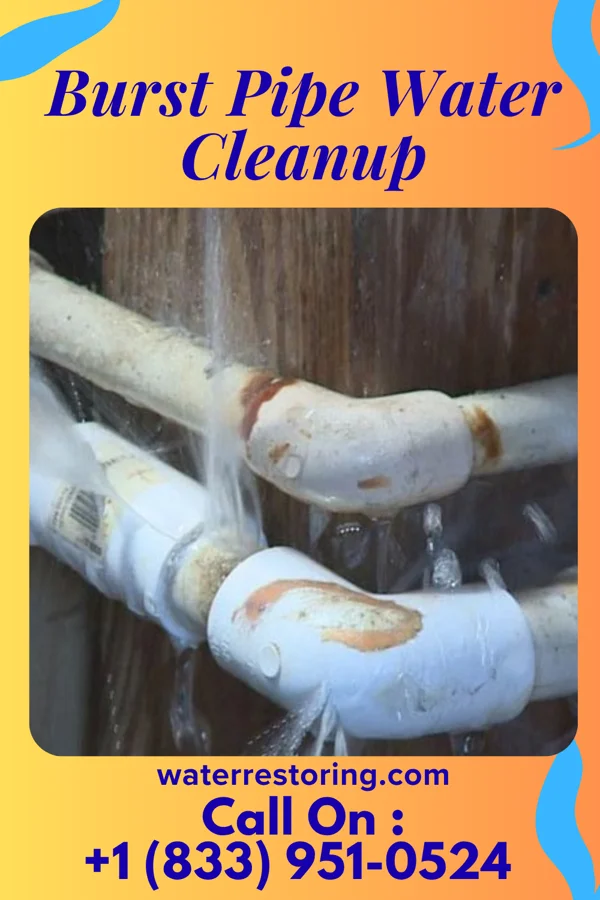 Burst Pipe Water Cleanup in Rock City, IL