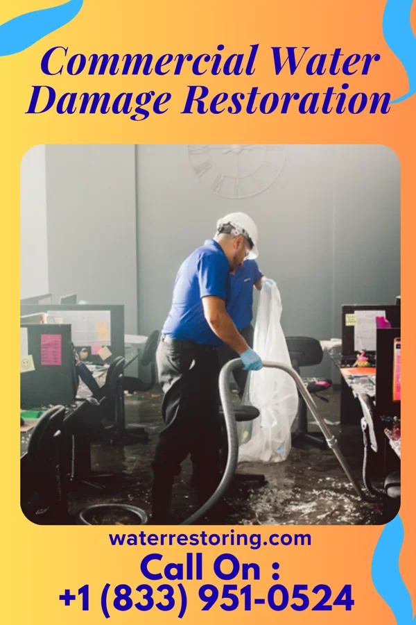 Commercial Water Damage Restoration in Rock City, IL
