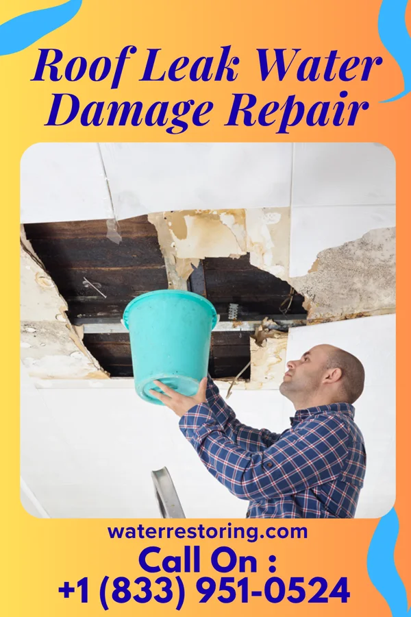 Roof Leak Water Damage Repair in Rock City, IL