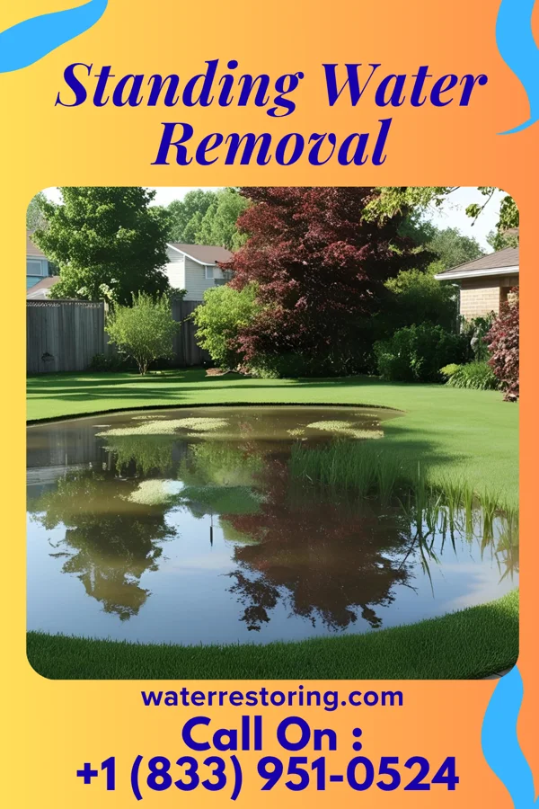 Standing Water Removal in Rock City, IL